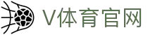 vports体育APP下载｜V体育官方入口·安全稳定